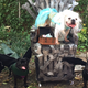 Illustration for article titled When You Play the Game of Bones, You Win or You D'aaaw